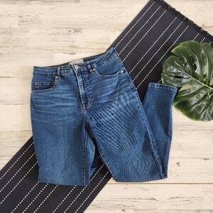 Everlane The Curvy High Rise Skinny Jeans Blue Size 27 Crop